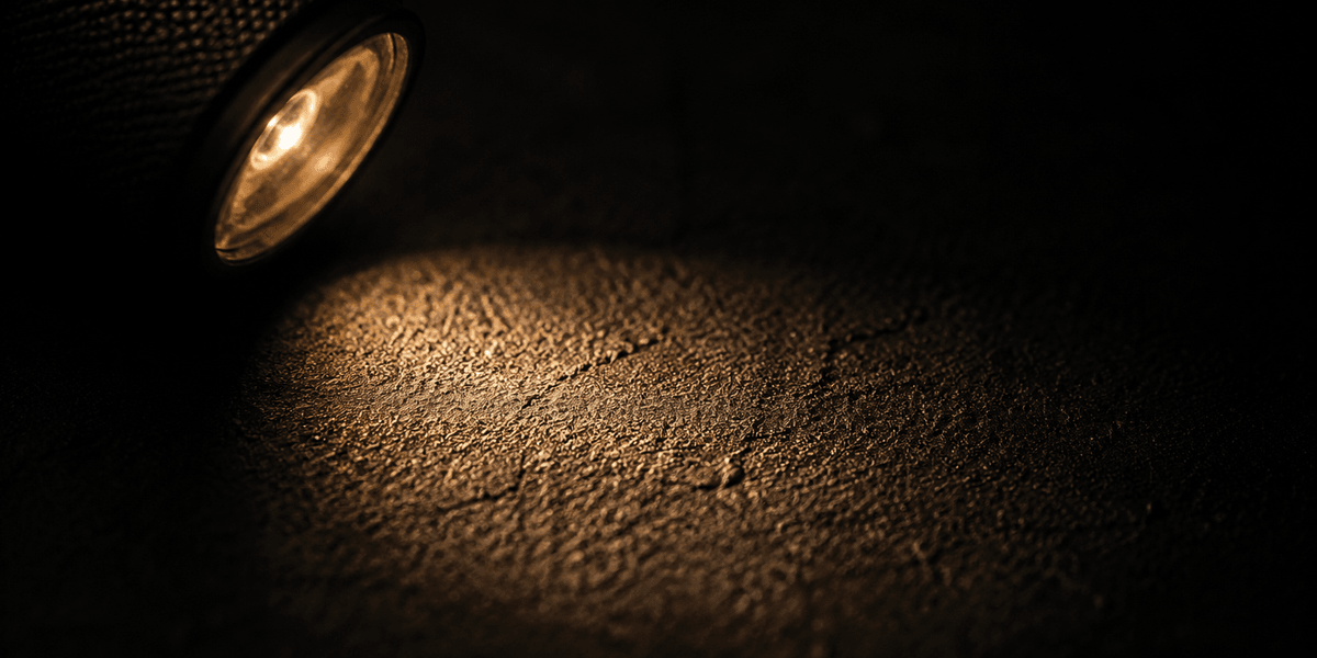 A focused beam of light revealing a hairline crack on an otherwise dark surface, representing a small, easy-to-miss flaw brought into view by looking closely